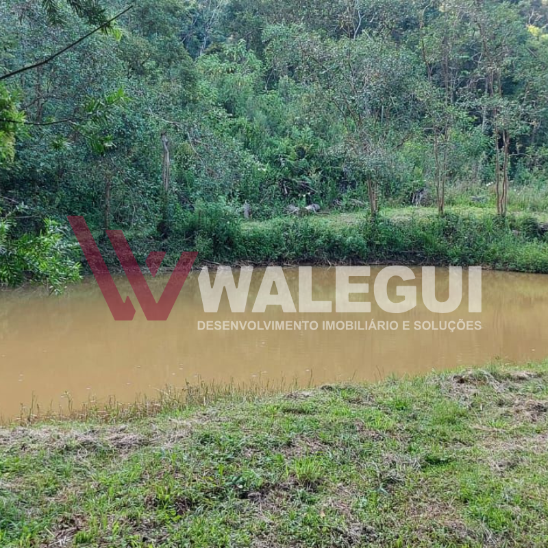 CHÁCARA À VENDA- TIJUCAS DO SUL PR - Imagem 13