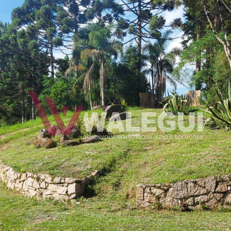 CHÁCARA À VENDA- TIJUCAS DO SUL PR - Imagem 14