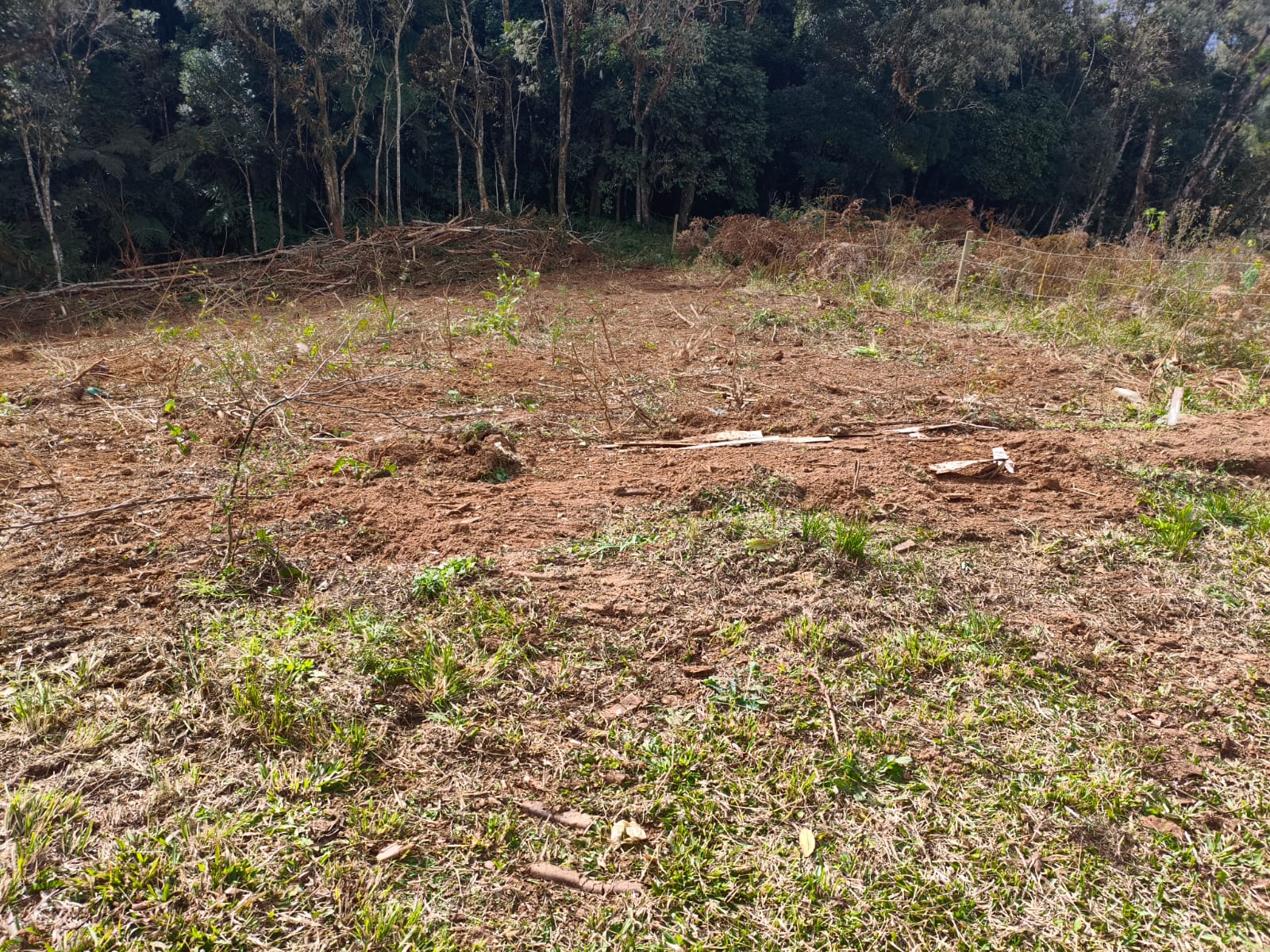 IMÓVEL À VENDA- TIJUCAS DO SUL PR - Imagem 3