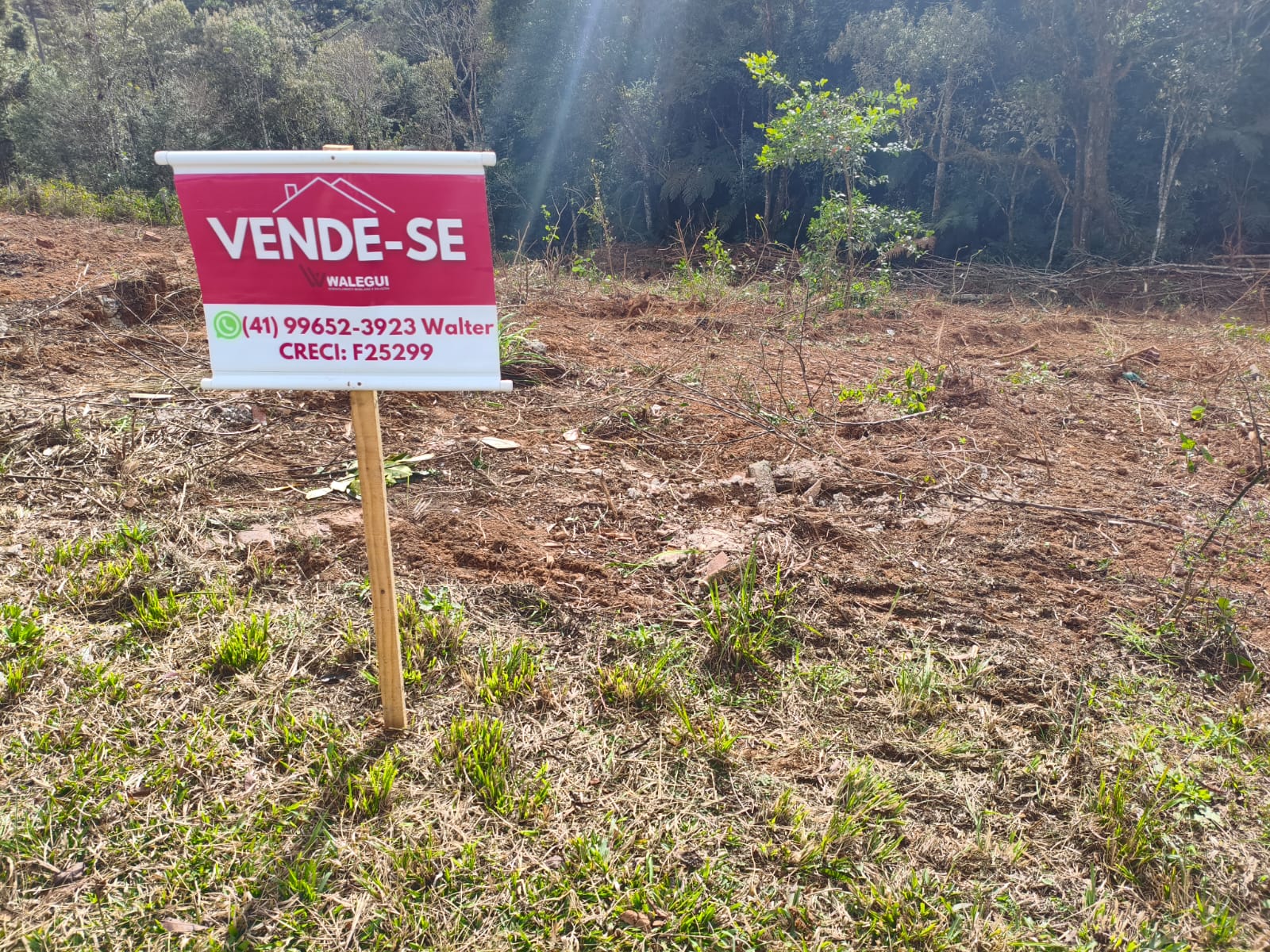 IMÓVEL À VENDA- TIJUCAS DO SUL PR - Imagem 4