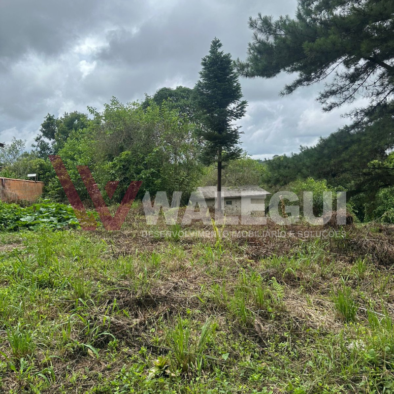 IMÓVEL À VENDA EM TIJUCAS DO SUL-PR - Imagem 2